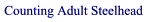go to Counting Adult Steelhead
